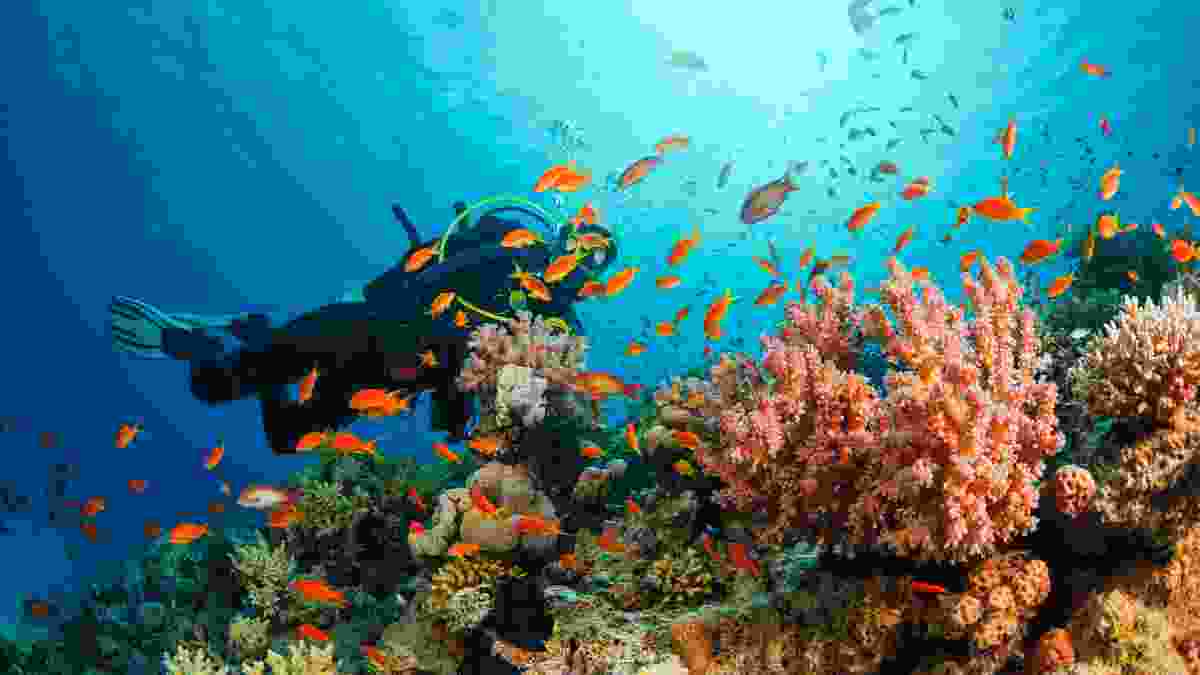 The Best Spots For Scuba Diving